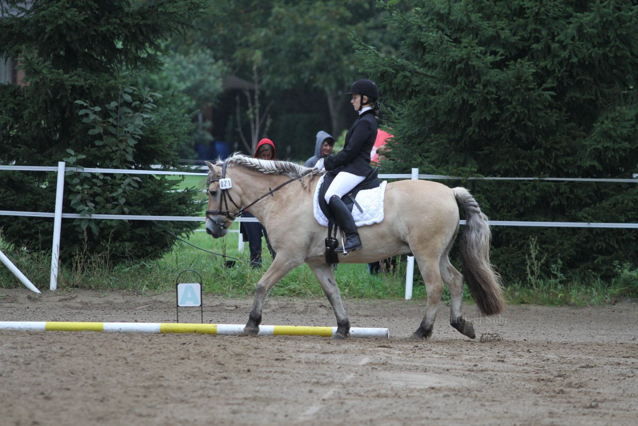 Bild 438 - WBO-Turnier am 18.9.11